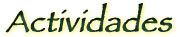 Ayca - Actividades